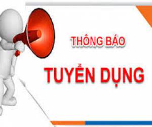 Tập Đoàn Tân Á Đại Thành Tuyển Nhân Sự